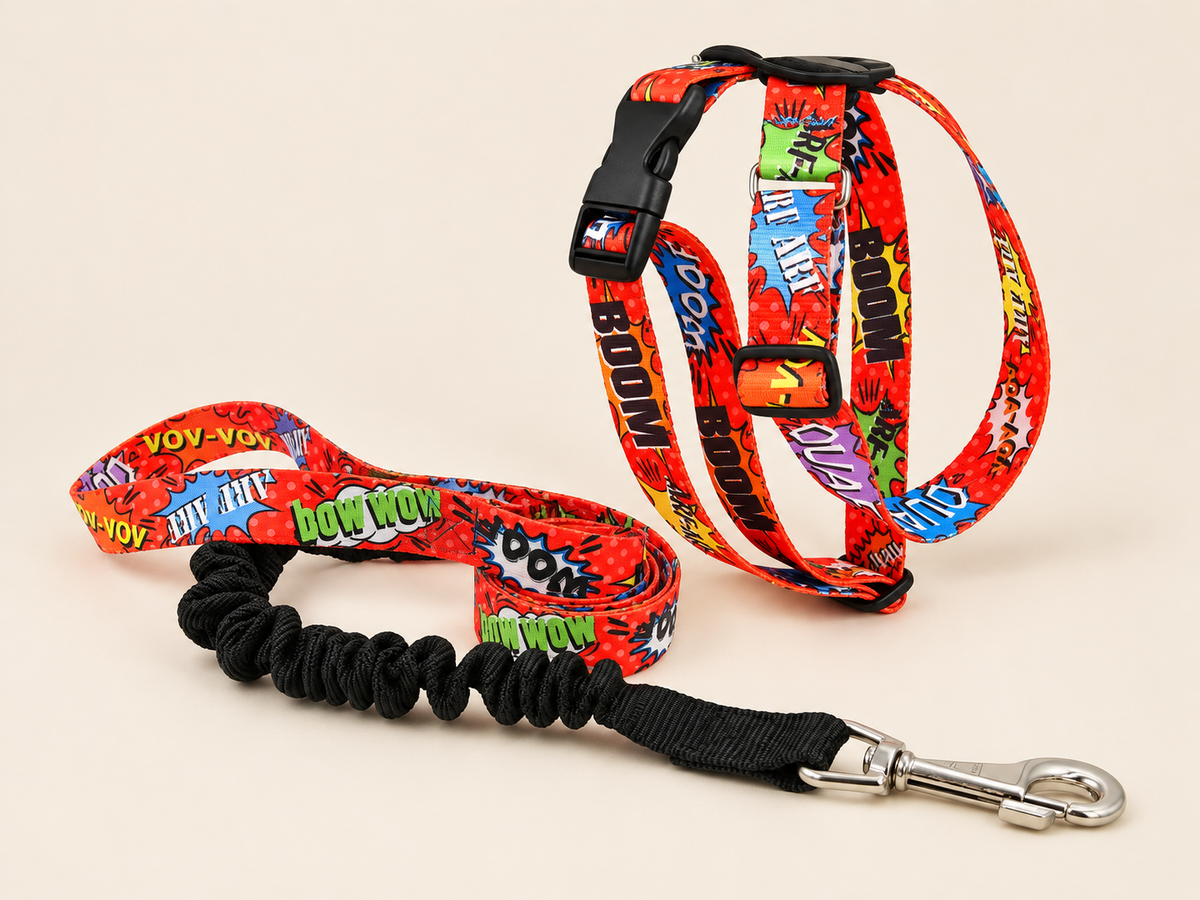 Kit completo - Pettorina + Guinzaglio PAW22 Graffiti