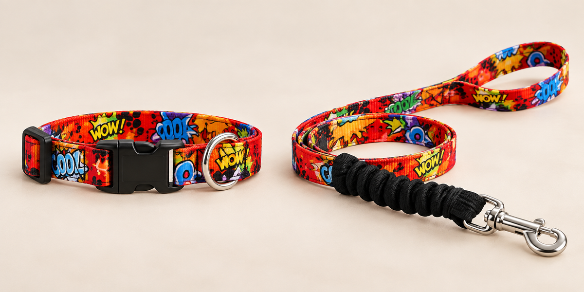 Kit completo - Collare + Guinzaglio PAW22 Graffiti
